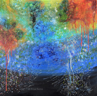 Where Dragonflies Dance