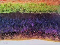 Close Your Eyes and Surrender